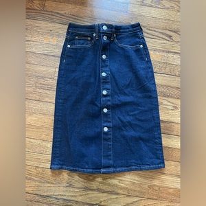 Everlane denim skirt